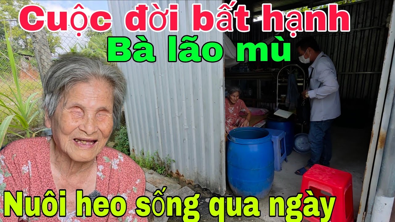 Cuộc đời bất hạnh Bà lão lão mù " nuôi heo "sống qua ngày .Nghĩa Phước Vlog 