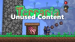 Unused Content Hidden in Terraria!