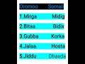 #learnsomali #learning #oromomusic #ethiopia #oromomusic #newvideo