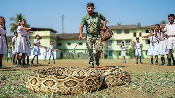 आज तो गजब हो गया- स्कूल कैंपस में खेलते वक्त साक्षात मौत को अजगर समझ बैठे मासूम बच्चे।Rusells Viper.