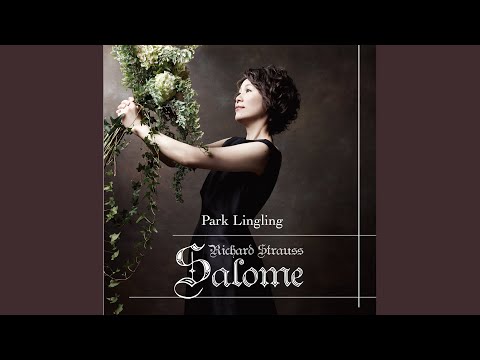 Der Rosenkavalier, Op. 59, TrV 227, Act III: Walzer (arr. O. Singer for piano)
