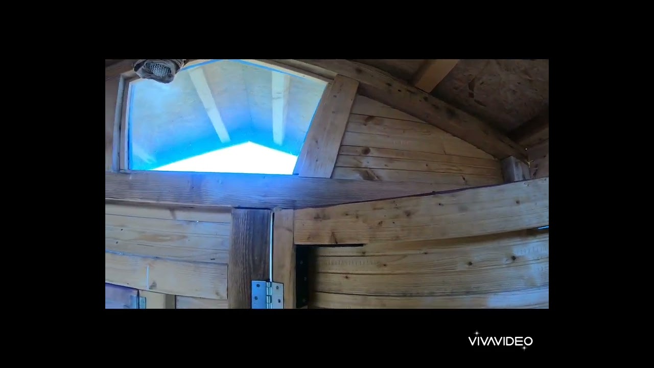 un jolie nids de frelons