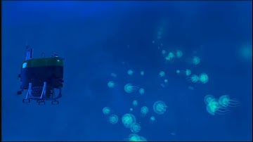 Advancing Autonomous Mesopelagic Exploration with Mesobot! | Nautilus Live