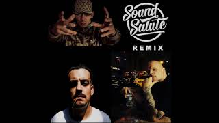 Capital Bra - Was 2 hol 10 ft  Bonez MC &amp; Haze (Sound Salute Remix)