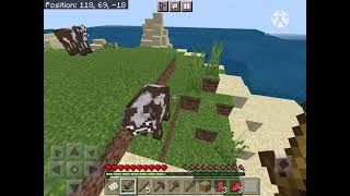 Minecraft (Worst spawn ever)