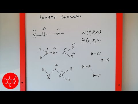 Video: Una molecola non polare può avere un legame idrogeno?