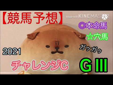 チャレンジカップ2021【競馬予想】参考レース前追い切りで本命馬と穴馬結論！過去レース結果