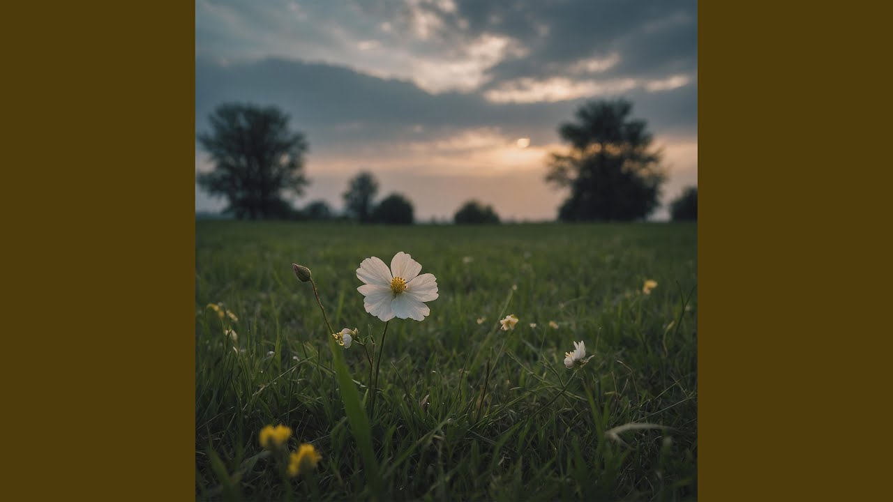 Left Behind in Spring