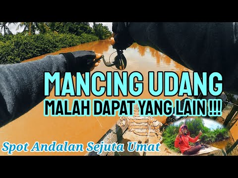 MANCING UDANG di Spot Andalan Sejuta Umat - Sungai Sebangkau Pemangkat #008