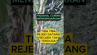 Rejeki Datang Tak Terdugaquotesamalkebaikanquranmuamarrezeki