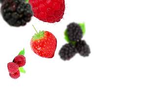 Make Your Own Fruits Intro Chroma Key