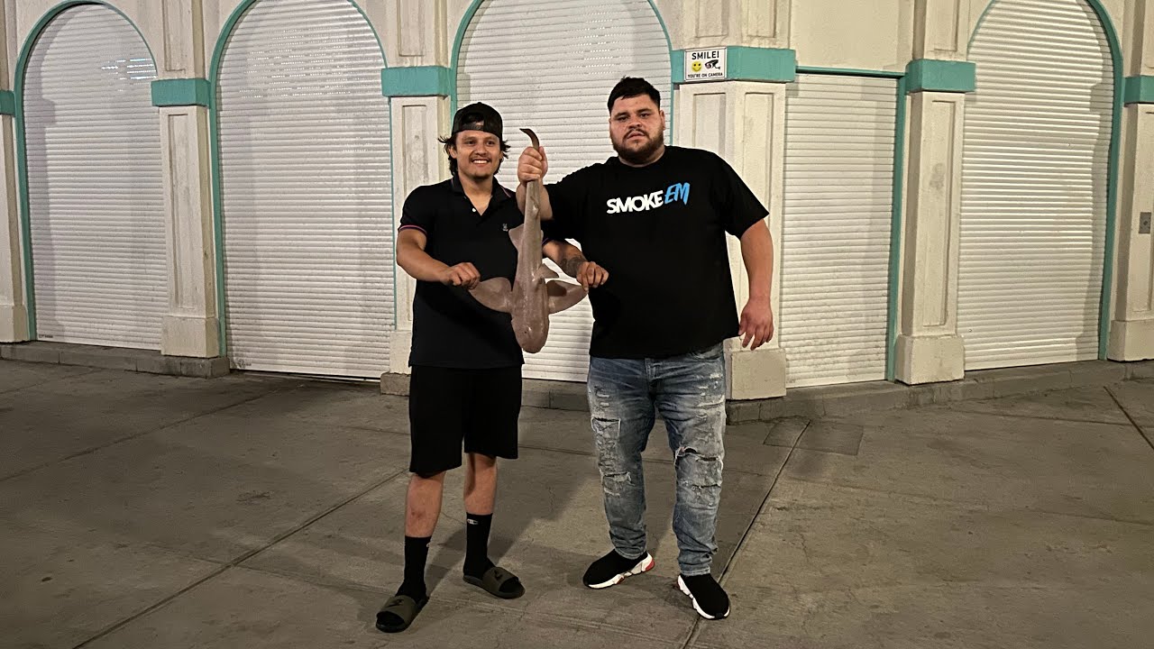 CAUGHT A HUGE SHARK🦈😱😱