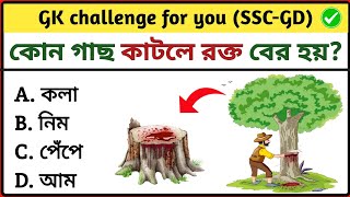 কোন গাছ কাটলে রক্ত বের হয় । Bangla quiz ।Bangla gk । General knowledge Bangla । Bangla gk study