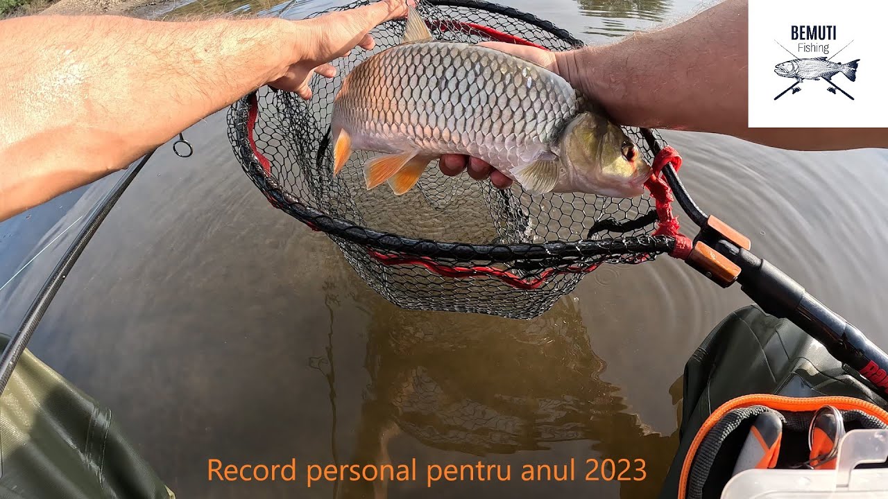 ⛈️⛈️Dupa furtună, cleanul record 🌥️🌥️ pe râul Timiș