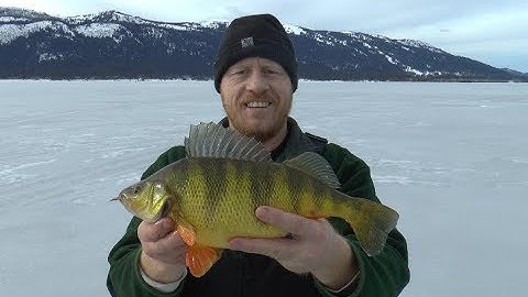 JumboMania, JawJacker Video