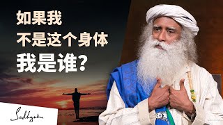 如果我不是这个身体，我是谁？神经科学家大卫·伊格曼与萨古鲁的辩论 | Sadhguru 萨古鲁