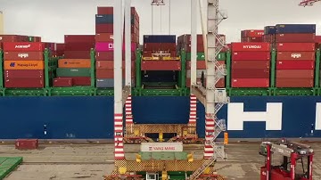 Port operation container terminal