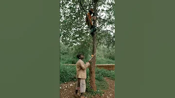 When Your Problems Keeps Following You Everywhere You Go 