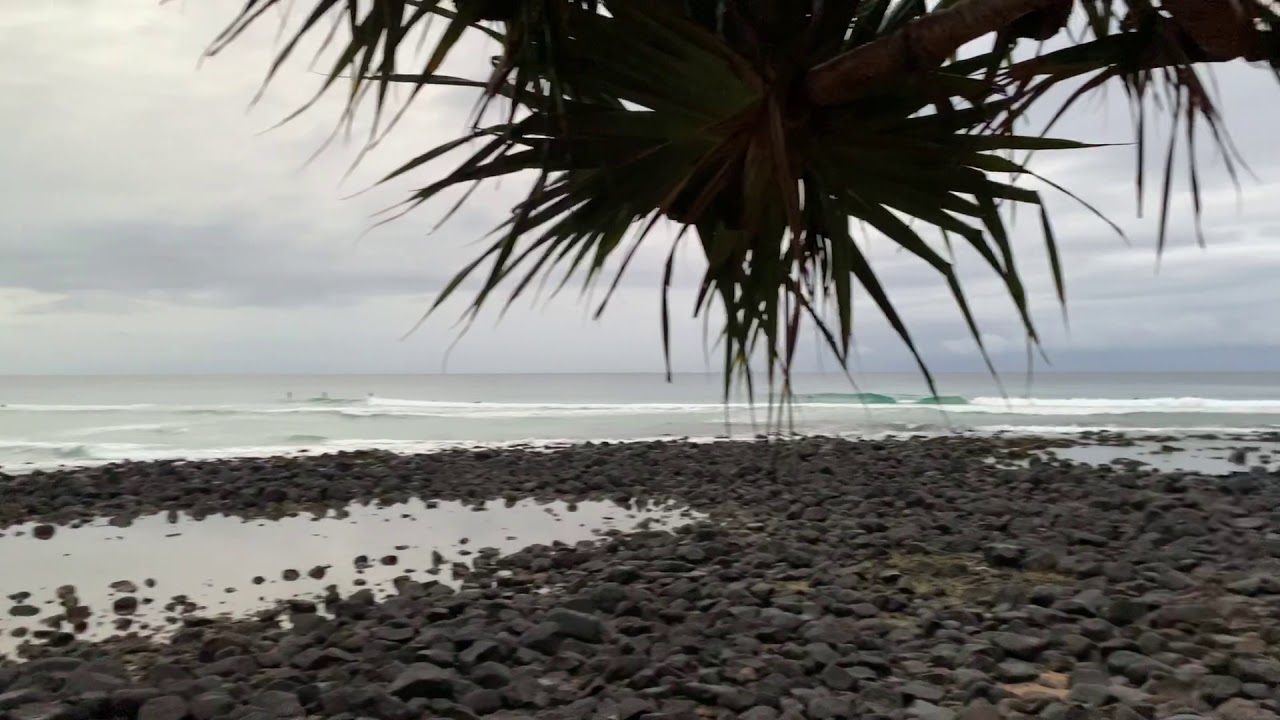 Tappa’s Gold Coast Surf Report 27/6/20 YouTube