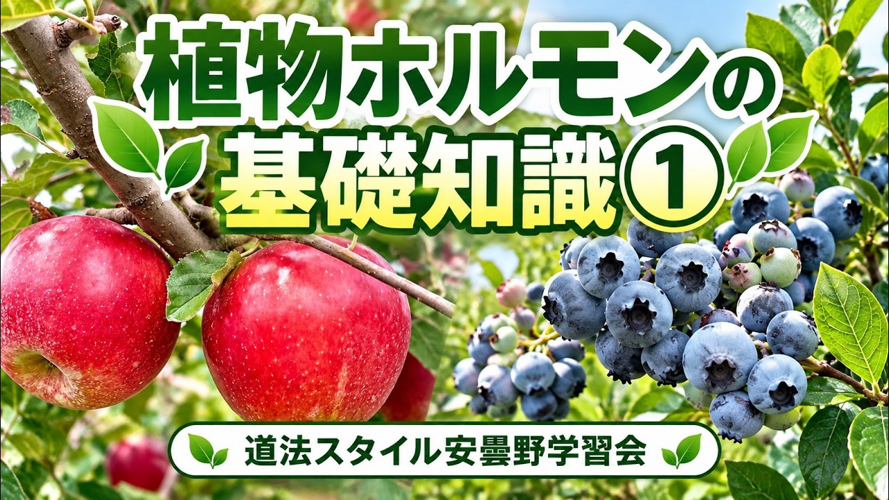 植物ホルモンの基礎知識 道法スタイル安曇野学習会