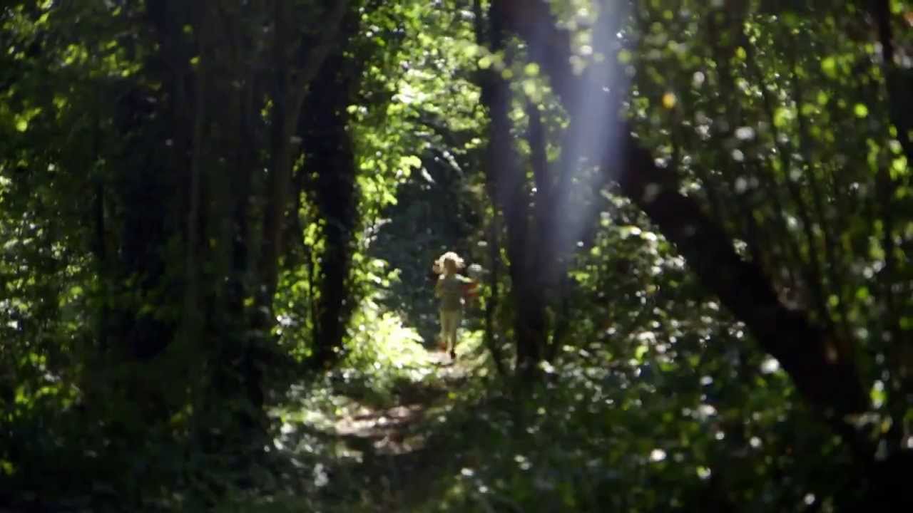 PROJECT WILD THING SNEAK PREVIEW - The perfect place to play