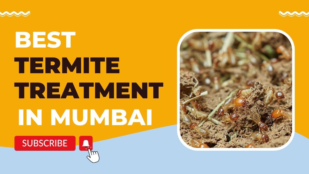 Best Termite Control Service in Mumbai