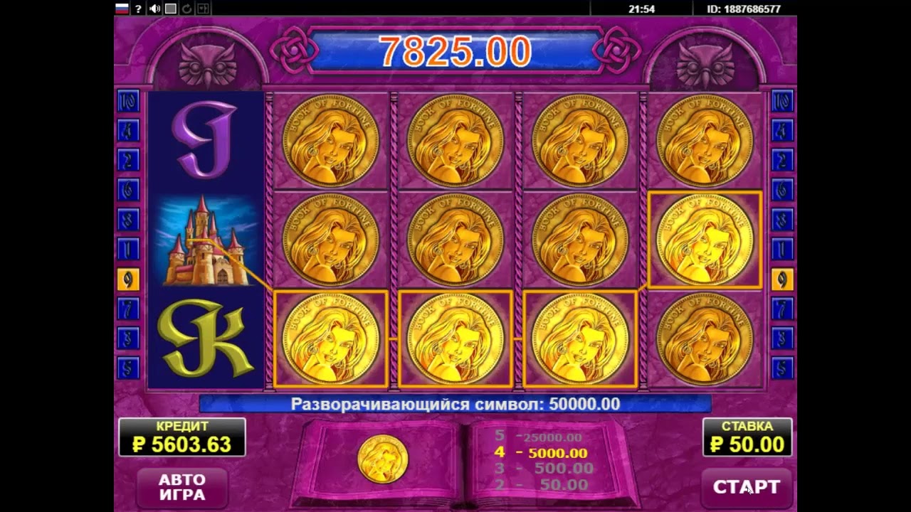 X 1300 Book of Fortune Amatic slot казино