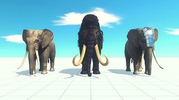 Elephant Team Vs Every Unit ARBS | Animal Revolt Battle Simulator