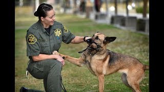 Orange County Sheriff's - K-9 Teams