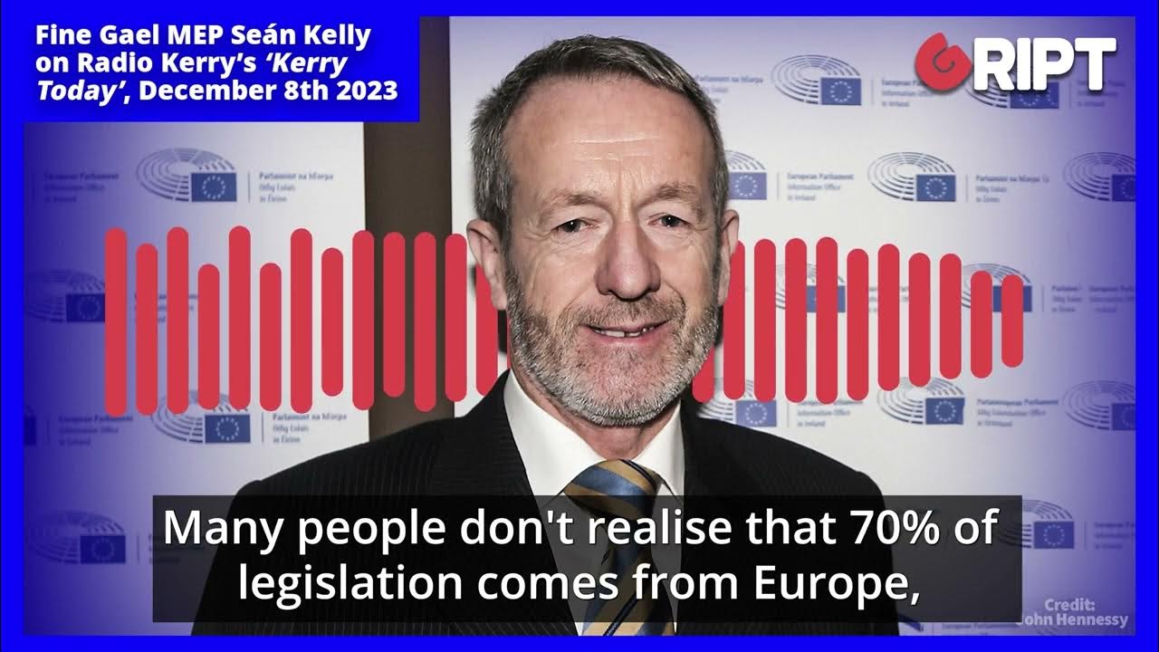 Irish Fine Gael MEP "70 of legislation comes from Europe" YouTube
