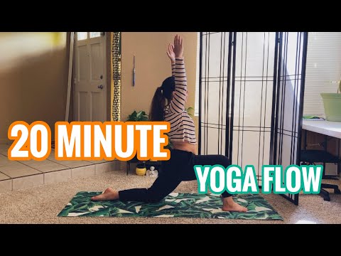 WORK BREAK YOGA FLOW || for beginners || 20 minute yoga flow