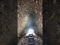 Inside the Steam Room: POV Camera on a Nesting Megapode 🏝️🐦