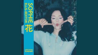 Lost in the Sunshine