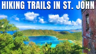 Best Hiking Trails In St. John, Us Virgin Islands Ultimate Trail Guide