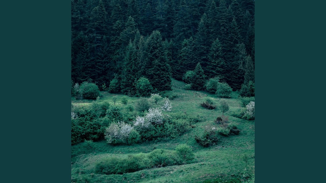 mussulo ° ambient ambient wash