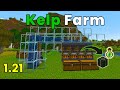 Minecraft 1.21.8 Automatic Kelp And XP