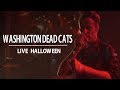 Capture de la vidéo Washington Dead Cats #02