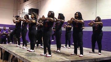 Wiley College Meet the Greeks 2014 Delta Sigma Theta