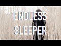 ENDLESS SLEEPER