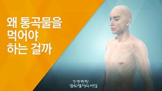 왜 통곡물을 먹어야 하는 걸까 - (2016.6.29_587회 방송)_전체식 프로젝트 2편 통곡물 건강법