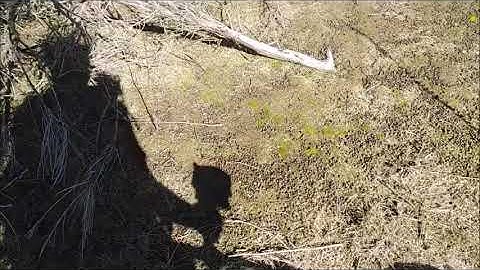 12" Concentric X-coil under power lines with the GPZ 7000