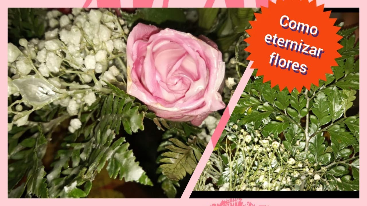 Como embalsamar (eternizar) flores que ganhou de presente (DICA)