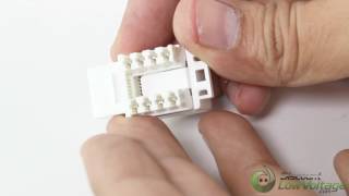 Category 6 Keystone Jack Module - WHITE