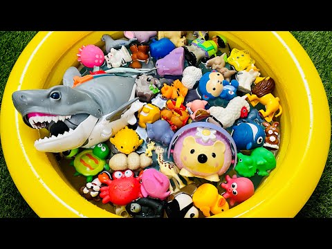 Learn Animal Names, Animal Toys, Animals For Kids, Sea Animals, Wild Zoo, Farm, Animals For Toddlers