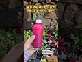 육동영희네 비밀무기?! 뱀,지네 없는 농장 #시골살이 #농촌라이프 #뱀퇴치 #지네퇴치 #멧돼지퇴치제 #시골집필수템  #퇴치제리뷰 #농사꿀팁 #시골생존기 #텃밭안전
