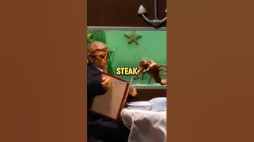 This Is WILD - Robot Chicken Short Edit