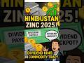 HINDUSTAN ZINC 2025 Dividend King Or Commodity Trap