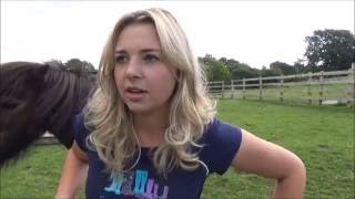 Clicker Training with Little Alf the miniature shetland