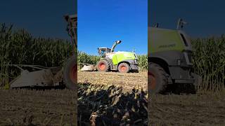 California farming? farming california silage2023 claas alfalfa hay short reelsinstagram