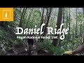 Daniel Ridge | Pisgah National Forest | NC by Loosely Bound